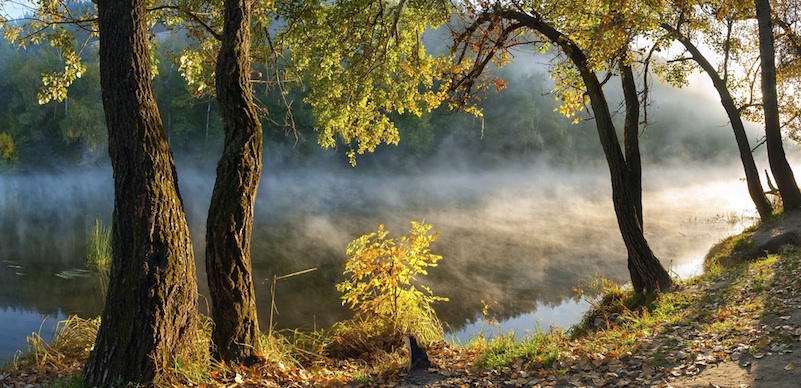 natuur-nieuws-header