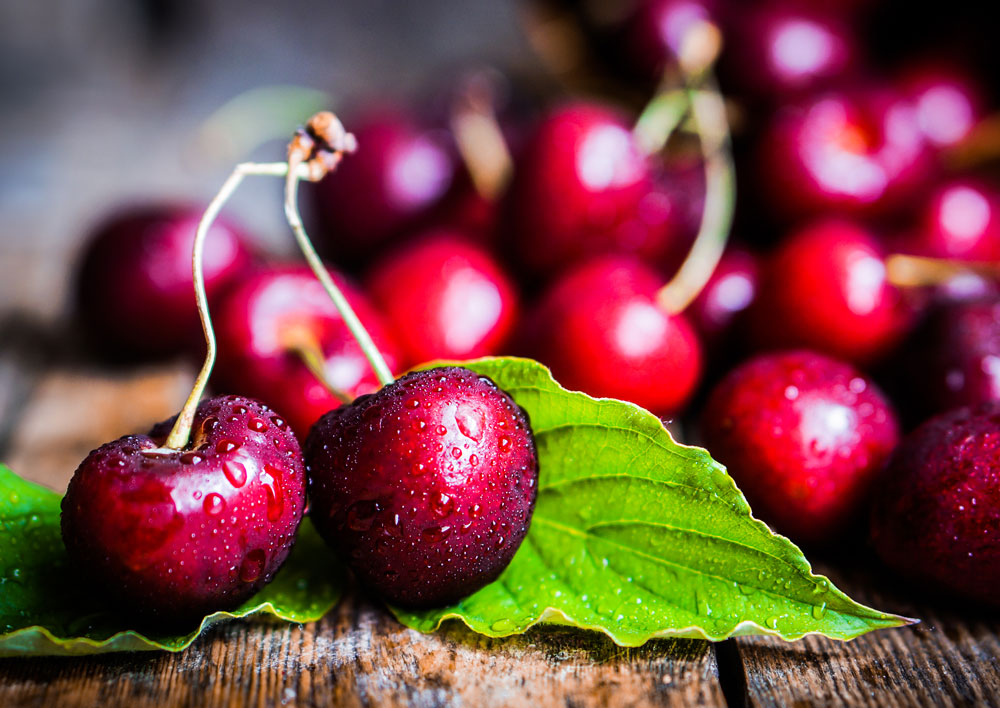 Zomerfeest in de boomgaard